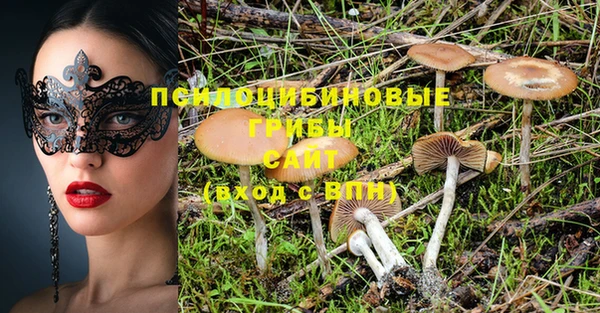 PSILOCYBIN Алексин