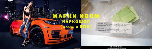 хмурый Абаза