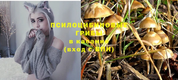 кокс Абдулино
